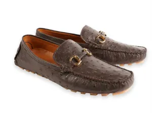 Style : Palm Beach-Marron