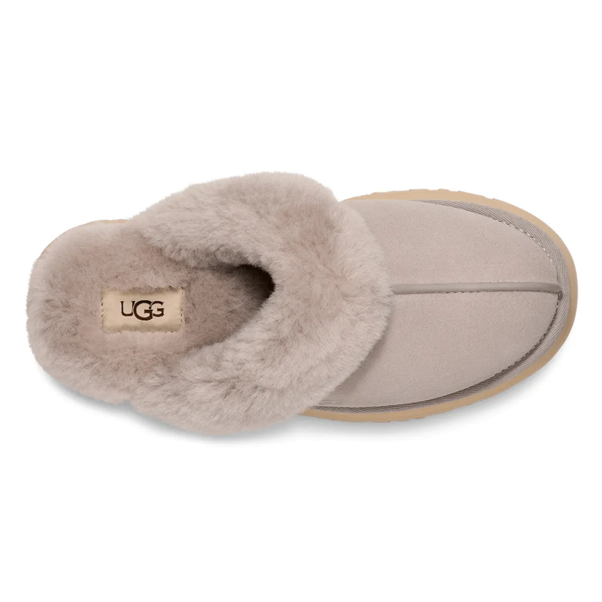 UGG Femmes Disquette Campfire
